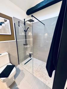 a bathroom with a shower and a toilet at Luxury self-contained suite. in Cardiff