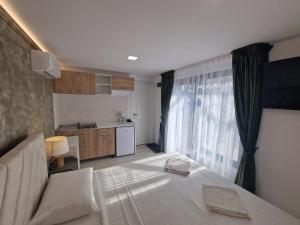 オトペニにあるAlex Residenceのベッドルーム(大きな白いベッド1台付)、キッチンが備わります。