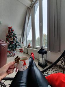 Posezení v ubytování Home Belić Golija