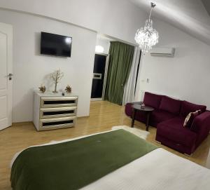 Vila Zoe BucharestAirport&Therme&Parking Otopeni的电视和/或娱乐中心