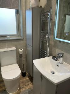 ein Bad mit einem WC, einem Waschbecken und einem Kühlschrank in der Unterkunft Woodside-Filey in Filey