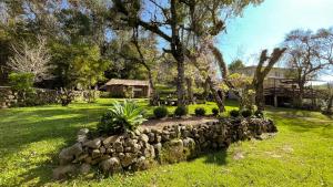 un jardín con una pared de piedra y un árbol en Pousada do Bosque Bento, en Bento Gonçalves