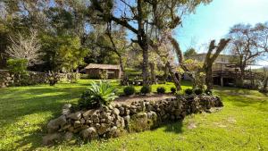 un giardino con un muro in pietra e un albero di Pousada do Bosque Bento a Bento Gonçalves