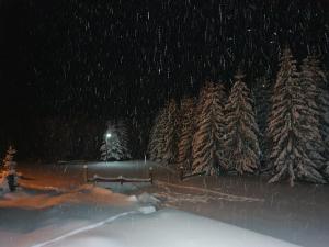 Home Belić Golija v zimě