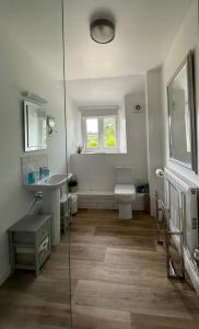 een badkamer met een toilet en een wastafel bij Winstitchen Cottage in Simonsbath