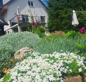 un jardín con flores blancas y una sombrilla en U nás Čicmany, en Čičmany