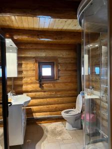 baño con pared de madera, aseo y lavamanos en Casa Brindusa, en Poiana Negrii