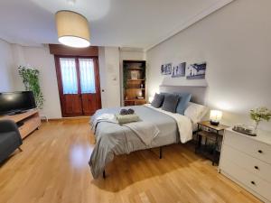 een slaapkamer met een groot bed en een televisie bij Apartamento Plaza España Gran vía centro in Madrid