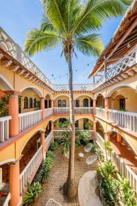 um pátio com uma palmeira e um edifício em Hotel Flor de Maria em Puerto Escondido