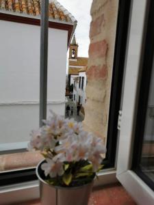 een vaas met roze bloemen in een raam bij APARTAMENTO LA TEJA-parking privado in Carmona