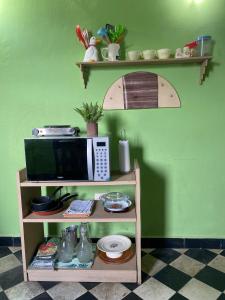 a shelf with a microwave on a green wall at Downtown Room in Asunción
