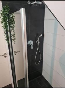 a shower with a shower head in a bathroom at Business Apartment/Loft nähe Bonn in Königswinter