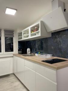 Apartman في خيب: مطبخ أبيض مع دواليب بيضاء ومغسلة