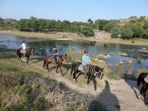 Gallery image of Krishna Ranch in Udaipur