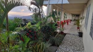 a corridor of a building with plants and red chairs at Dave Parker Eco Lodge Hotel in Apia