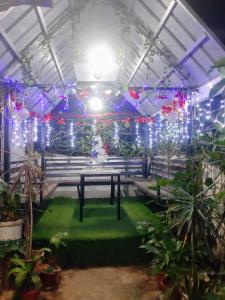 Tenda con tavolo da picnic, luci e piante di Casa Erelle -1 Bedroom guest house #2 ad Antipolo