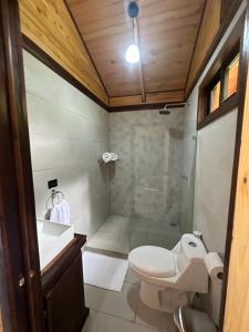 y baño con aseo, lavabo y ducha. en Chalet Amauleza en San Gerardo de Dota