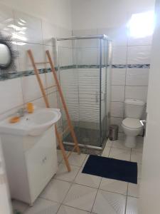 a bathroom with a glass shower and a toilet at Gite des îles in Sainte-Rose