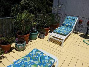 a patio with two chairs and potted plants at Entire 2BR, centrally-located, w/parking! in San Francisco