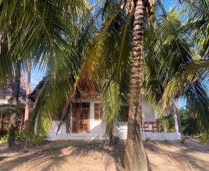 a house with palm trees in front of it at Jumapili Beach Villa in Ushongo Mabaoni