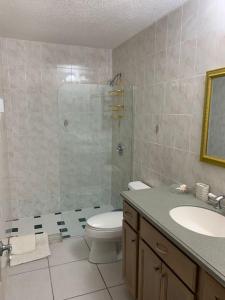 a bathroom with a shower and a toilet and a sink at Breathtaking View Villa in Saint Marks Village