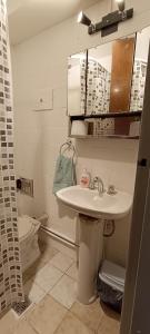 y baño con lavabo y aseo. en Av España Mdz en Mendoza