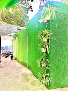 a green wall with plants growing on it at Lacami Dalat Hotel in Da Lat