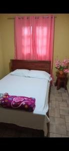 ボルカンにあるDon Chacon Festのベッドルーム(ピンクのカーテン付きの白いベッド1台付)