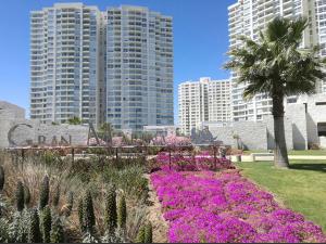 un jardín con flores rosas frente a edificios altos en Moderno departamento acceso a playa, en Coquimbo
