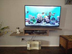 a cat sitting on a shelf with a television on a wall at Charming 1Bedroom Vacation Condo in Oceanside