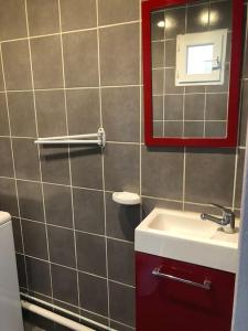 a bathroom with a sink and a mirror at Jolie petite maison cosy in Orly