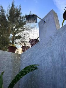 Bilde i galleriet til Amaroo Hikkaduwa i Hikkaduwa