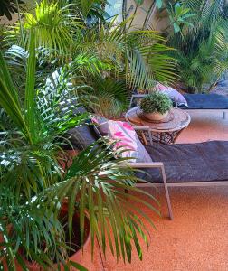 a patio with two chairs and a table and plants at Ningaloo Lodge Exmouth in Exmouth