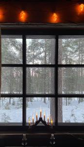 Arctic Lodges Lapland Ski in Studio, slopes, ski tracks, National Park, free Wi-Fi - Lapland Villas v zimě
