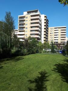 a large green field with two tall buildings at Wonderful Apartment in Braşov