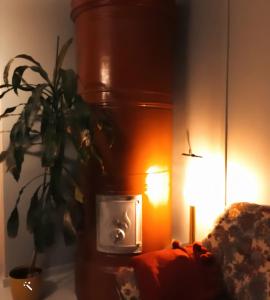 瓦爾考斯的住宿－Residenssi Tuuli，一间带灯和盆栽的客厅