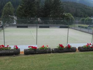 Attività di tennis o squash presso l'appartamento o nelle vicinanze
