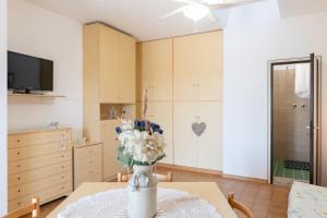 TV a/nebo společenská místnost v ubytování Monolocale ingresso indipendente con corte esclusiva