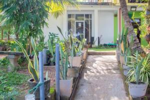 a row of potted plants in front of a house at Mahi Villa in Bentota