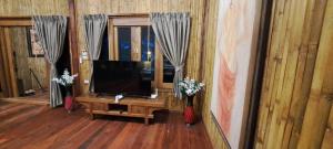 Uma TV ou centro de entretenimento em Viking Nature Resort
