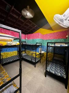a room with four bunk beds in a room at SANTA MARIA HOSTEL MUNROE ISLAND in Munroe Island