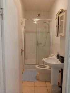 a bathroom with a shower and a toilet and a sink at Hallam Homestyle relocators and contractors in Walkly