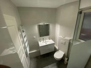 a white bathroom with a toilet and a sink at Le confort d'un appartement in Schiltigheim