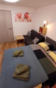 a living room with two beds and a couch at Apartmaji STARS in Mavčiče