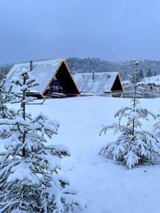 einen schneebedeckten Hof mit Häusern und Bäumen in der Unterkunft Treeline Cabins in Cădăreşti