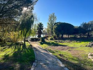 una strada in un parco con alberi e erba di Casa Rural La Granja de Torrehermosa a Granja de Torrehermosa