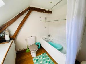 a bathroom with a toilet and a bath tub at AmienSUD à 15 minutes du cœur de la ville in Saint-Sauflieu +29 photos