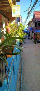 a plant on a blue wall next to a street at Sunflower Guesthouse Koh Rong in Koh Rong