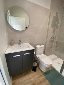 bagno con servizi igienici, lavandino e specchio di Appartement hypercentre 100% équipé *Clim* a Brive-la-Gaillarde
