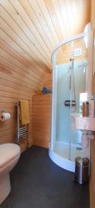 a bathroom with a shower and a toilet at Robin- Ensuite Glamping Pod in Truro